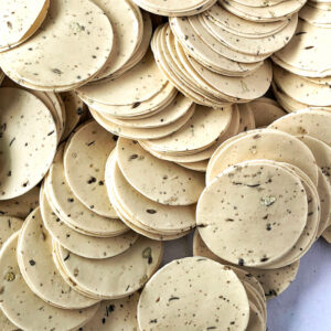Disco Papad