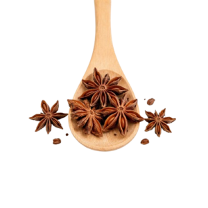 Star Anise ಚಕ್ರಮೊಗ್ಗು
