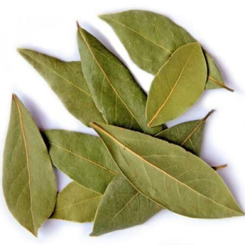 Bay Leaf ಎಲೆ