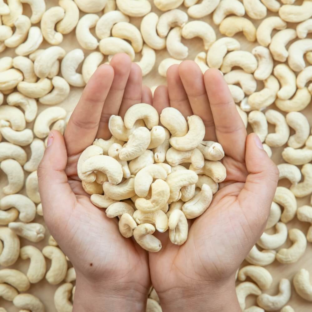 Cashew / ಗೋಡಂಬಿ