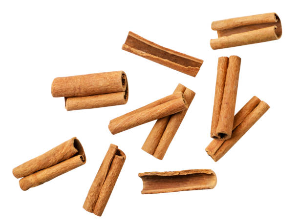 Cinnamon  ಚಕ್ಕೆ