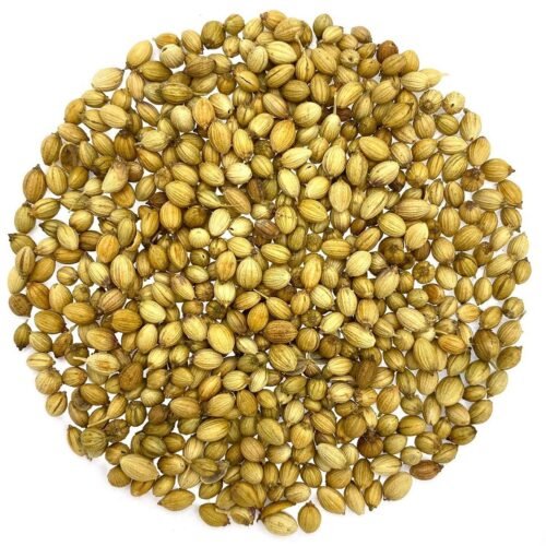 Coriander ಧನಿಯಾ