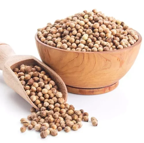 Coriander ಧನಿಯಾ
