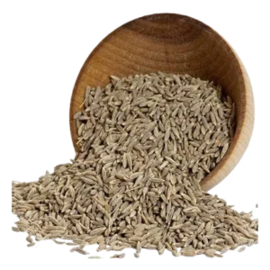 Cumin / Jeera ಜೀರಿಗೆ