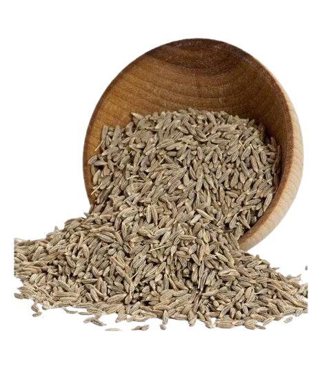 Cumin / Jeera ಜೀರಿಗೆ