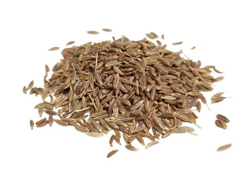 Cumin / Jeera ಜೀರಿಗೆ