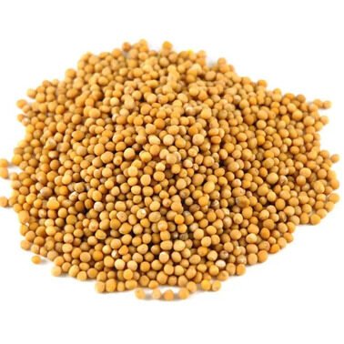 Mustard  ಸಾಸಿವೆ