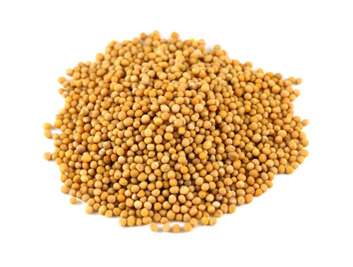 Mustard  ಸಾಸಿವೆ