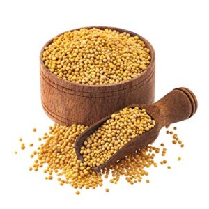 Mustard  ಸಾಸಿವೆ