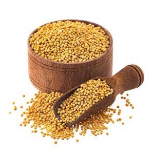 Mustard  ಸಾಸಿವೆ