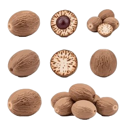 Nutmeg ಜಾಯಿಕಾಯಿ
