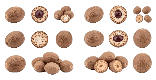 Nutmeg ಜಾಯಿಕಾಯಿ