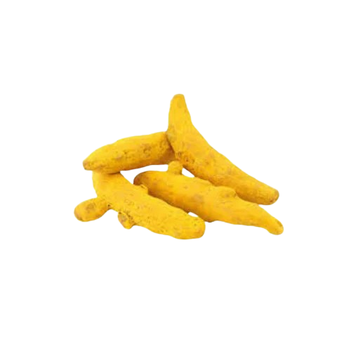 Turmeric finger ಅರಿಶಿನ