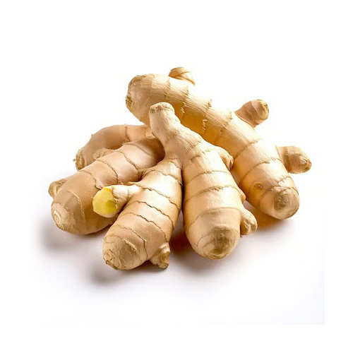 Ginger