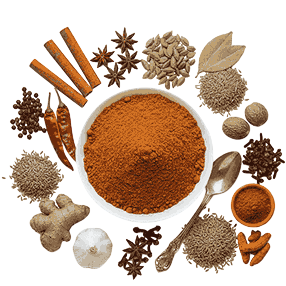 Meat Masala