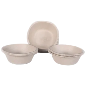 Paper Bowl