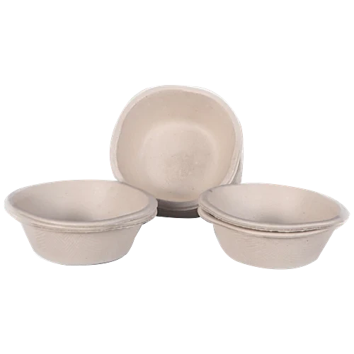 Paper Bowl