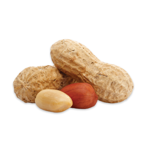 Peanuts ಶೇಂಗಾ