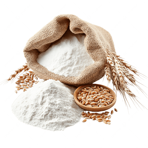 Wheat Flour Atta