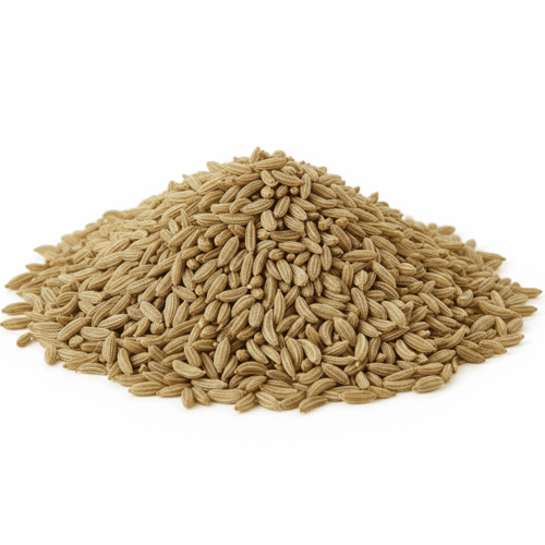 Carom Seeds (Ajwain) ಓಮಿನಕಾಳು