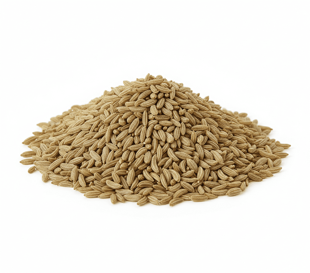 Carom Seeds (Ajwain) ಓಮಿನಕಾಳು