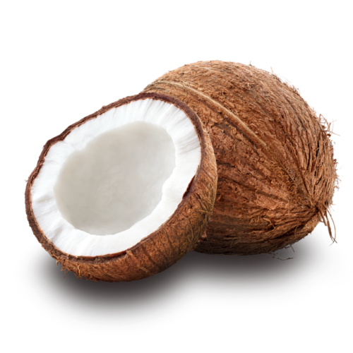 Coconut ತೆಂಗಿನಕಾಯಿ