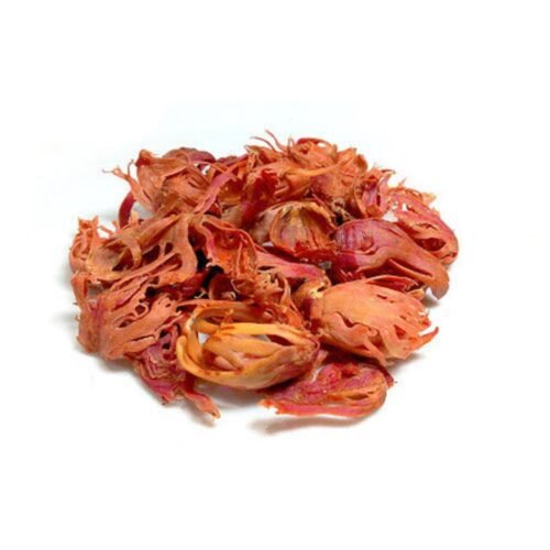 Mace ಜಾಯಿಪತ್ರೆ