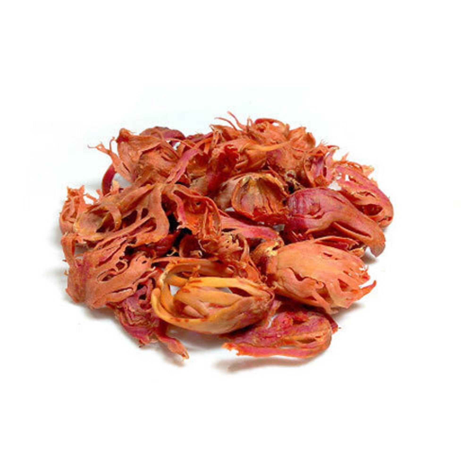 Mace ಜಾಯಿಪತ್ರೆ